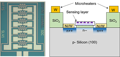 Silicon CS-FETs